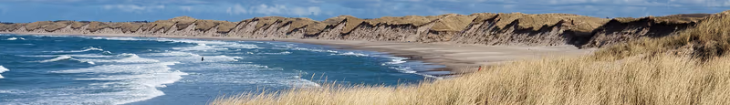 Denmark Expands Three Jutland National Parks by 377 Hectares