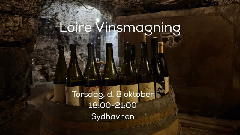 Loire Vinsmagning