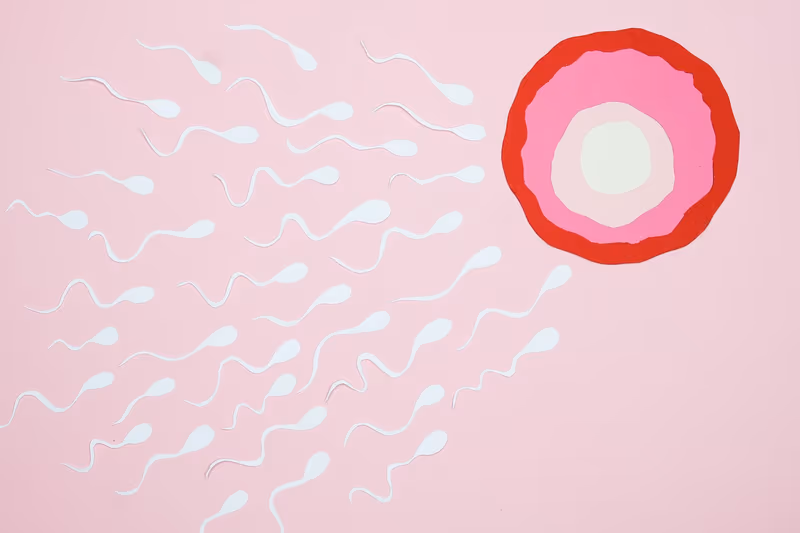 Danish ethics council recommends ending anonymous sperm and egg donation