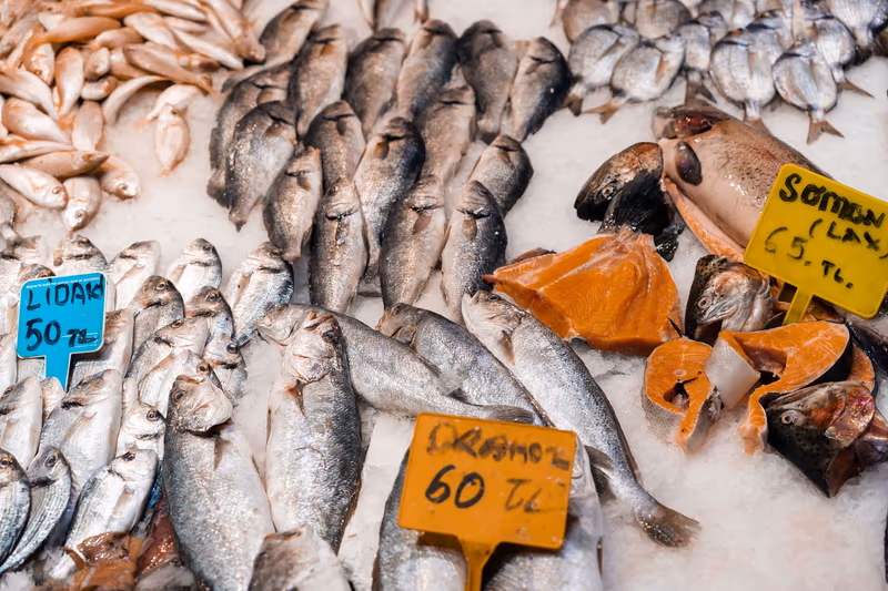 Smoked Trout Sold at Lidl Recalled Over Listeria Risk