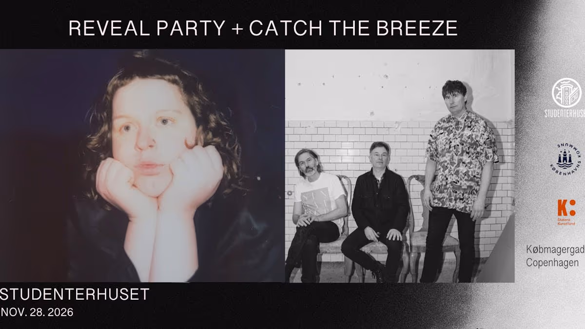REVEAL PARTY + CATCH THE BREEZE