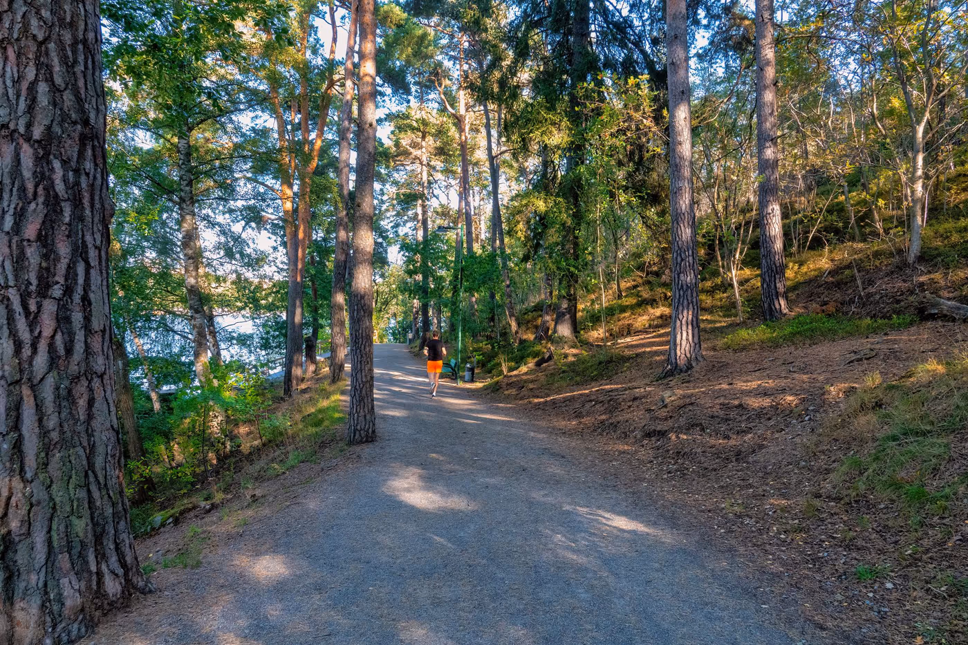 Park run + 早餐（Stockholm）